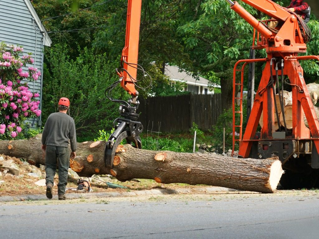 removed tree trunk by crane in residential area Tree Removal Services Southington CT