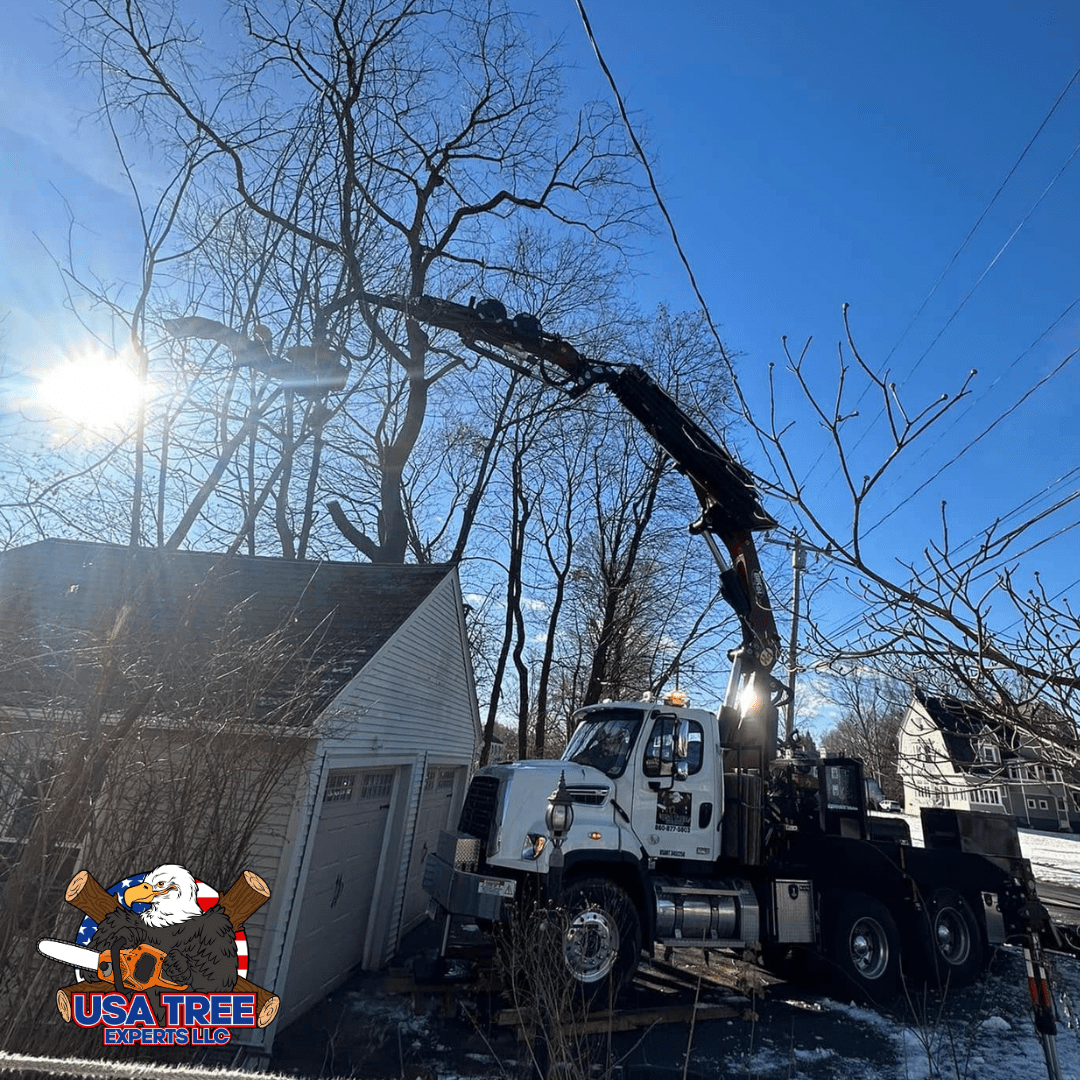 Usa Tree Blog post A tree service truck from USA Tree Experts LLC equipped with a hydraulic crane trimming tall trees near a residential garage on a sunny winter day. The logo of USA Tree Experts LLC is displayed in the bottom left corner.