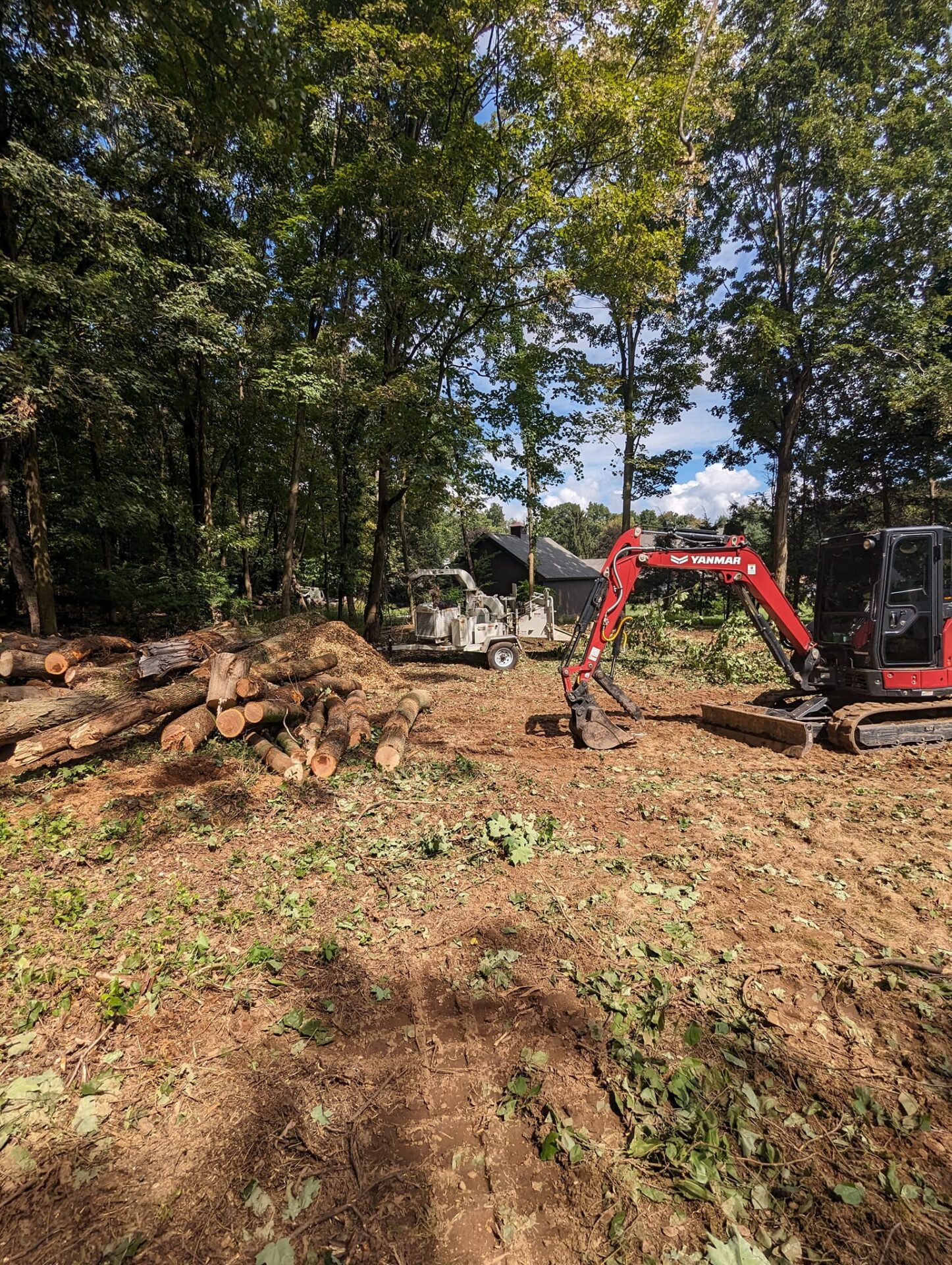 Land Clearing USA tree 2 Land clearing site in progress with Yanmar excavator, wood chipper, and felled logs โ USA Tree Services equipment on-site in Connecticut